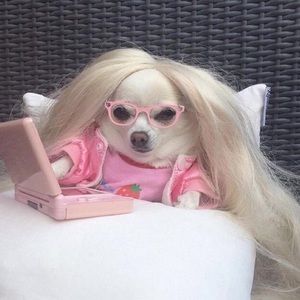 Meet your Posher, Amanda